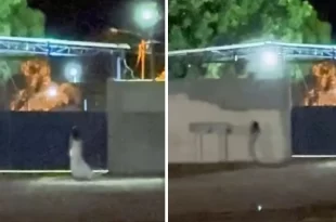 Noiva misteriosa é filmada em frente a cemitério e alimenta especulações sobre noiva fantasma