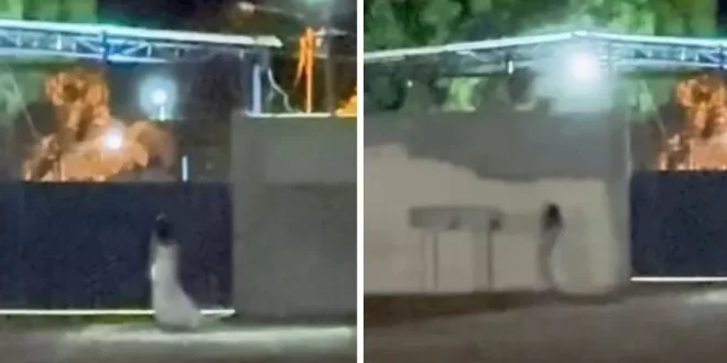 Noiva misteriosa é filmada em frente a cemitério e alimenta especulações sobre noiva fantasma