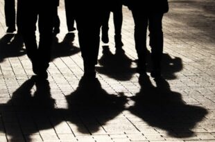 Substitutivo Derrite: blindagem jurídica do crime organizado