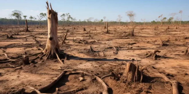 Negacionistas climáticos: Lula vetou 63 pontos da Licença Ambiental Especial; Senado derrubou os vetos