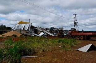 MST organiza cozinhas solidárias e mutirões para reconstruir Rio Bonito do Iguaçu (PR) após tornado