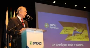 COP-30: BNDES e instituições criarão certificadora de crédito de carbono