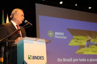 COP-30: BNDES e instituições criarão certificadora de crédito de carbono