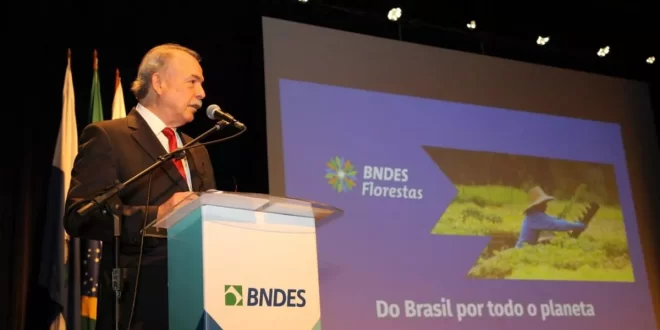 COP-30: BNDES e instituições criarão certificadora de crédito de carbono