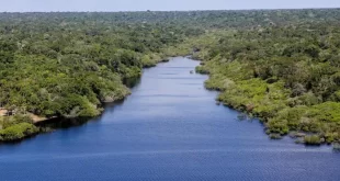Operação Lança do Sul prepara a internacionalização da floresta amazônica