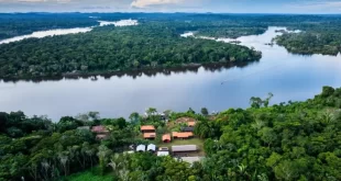 Fundo Amazônia atinge recorde histórico em 2025
