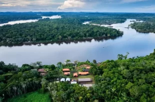 Fundo Amazônia atinge recorde histórico em 2025