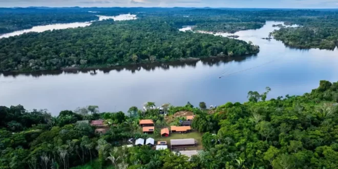Fundo Amazônia atinge recorde histórico em 2025