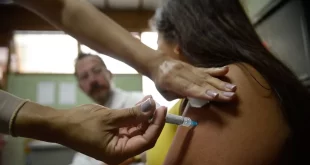 Butantan começa entrega de vacina contra dengue ao Ministério da Saúde