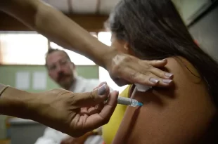 Butantan começa entrega de vacina contra dengue ao Ministério da Saúde