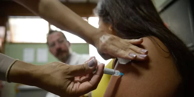 Butantan começa entrega de vacina contra dengue ao Ministério da Saúde