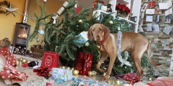 Bem Viver: 6 coisas que você deve evitar para não brigar com a sua família no Natal