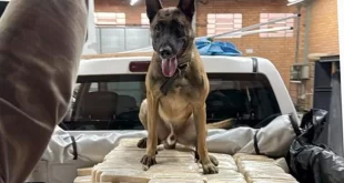 PF apreende mais de 600kg de cocaína e prende dois homens em Blumenau