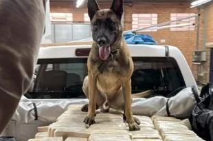 PF apreende mais de 600kg de cocaína e prende dois homens em Blumenau