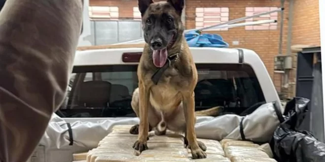 PF apreende mais de 600kg de cocaína e prende dois homens em Blumenau