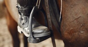 Faroeste brasileiro: homem vai até barbearia a cavalo, dá chicotadas em genro e foge