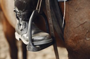 Faroeste brasileiro: homem vai até barbearia a cavalo, dá chicotadas em genro e foge