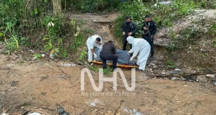 Violência em Rio Branco: cadáver é encontrado em área de mata