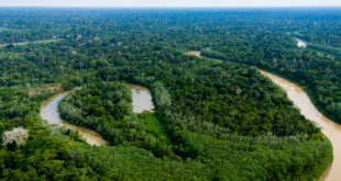 Governo do Acre aprova Regimento Interno da Rede de Governança Ambiental