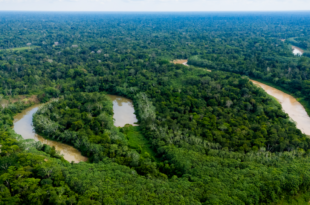 Governo do Acre aprova Regimento Interno da Rede de Governança Ambiental