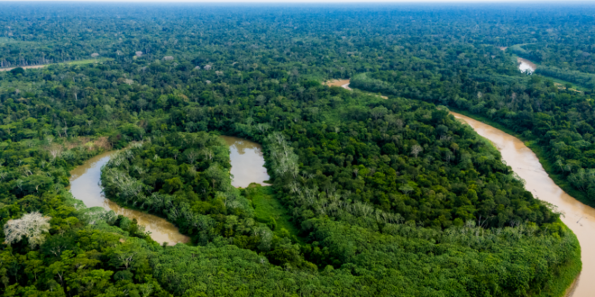 Governo do Acre aprova Regimento Interno da Rede de Governança Ambiental