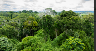 Governo do Acre sanciona lei que cria plataforma digital de transparência ambiental participativa