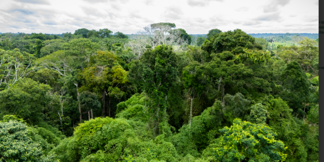 Governo do Acre sanciona lei que cria plataforma digital de transparência ambiental participativa