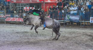 Rodeios e apresentações equestres passam a integrar o Calendário Oficial de Eventos do Acre