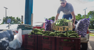 Governo do Acre divulga relatório preliminar do credenciamento de entidades socioassistenciais no Programa de Aquisição de Alimentos