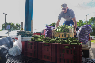 Governo do Acre divulga relatório preliminar do credenciamento de entidades socioassistenciais no Programa de Aquisição de Alimentos