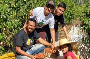 Cafeicultores são selecionados para abastecer o Programa Nacional de Alimentação Escolar no Acre