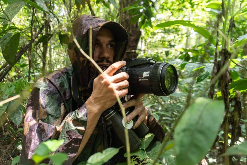 Dois parques do Acre são indicados para turismo de observação de aves em catálogo de experiências de birdwatching no Brasil