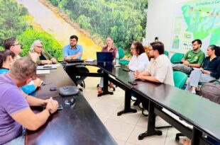 Empresa alemã avalia instalação de unidade de processamento de bambu no Acre