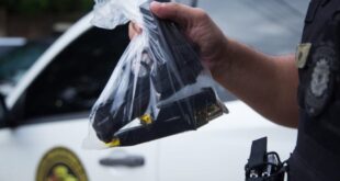 502 armas de fogo foram apreendidas no Acre em 2025; o equivalente a 1,37 armas por dia