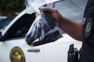 502 armas de fogo foram apreendidas no Acre em 2025; o equivalente a 1,37 armas por dia