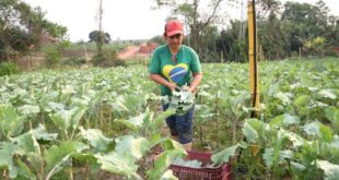 Governo do Acre sanciona lei de criação do Selo da Agricultura Familiar no Acre