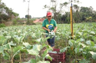 Governo do Acre sanciona lei de criação do Selo da Agricultura Familiar no Acre