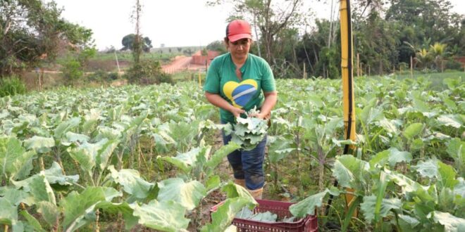 Governo do Acre sanciona lei de criação do Selo da Agricultura Familiar no Acre