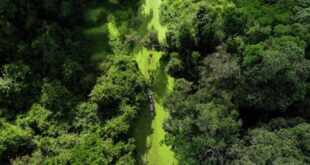 Acre obtém aprovação final para fase de validação e verificação no padrão internacional de alta integridade para geração de créditos de carbono