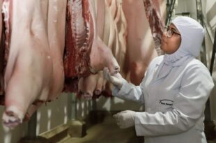 Governo celebra acordo Mercosul-UE e projeta abertura de novos mercados para produtos acreanos