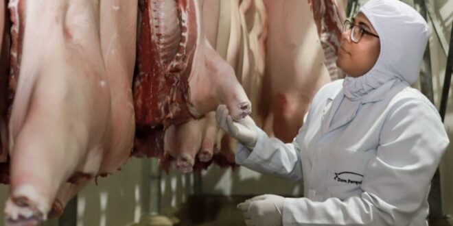 Governo celebra acordo Mercosul-UE e projeta abertura de novos mercados para produtos acreanos