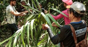 Governo firma acordo para integrar cultura e meio ambiente em territórios tradicionais
