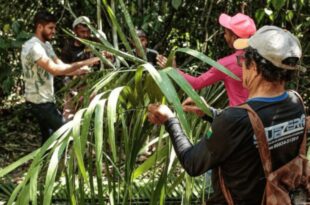 Governo firma acordo para integrar cultura e meio ambiente em territórios tradicionais