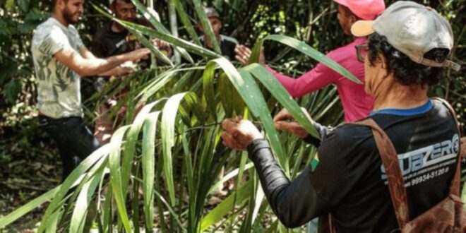 Governo firma acordo para integrar cultura e meio ambiente em territórios tradicionais