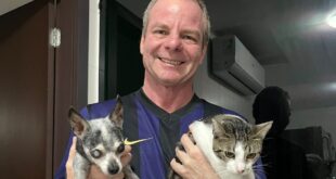 Caso Orelha: Pedro Longo pede celeridade em projeto de sua autoria que protege animais no Acre