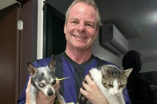 Caso Orelha: Pedro Longo pede celeridade em projeto de sua autoria que protege animais no Acre