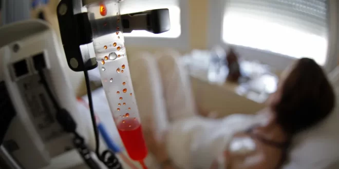 Mundo cão: após quatro anos de quimioterapia, mulher descobre que nunca teve câncer