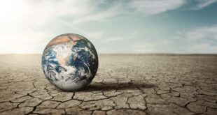 O Brasil na véspera da grande crise global