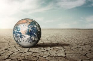 O Brasil na véspera da grande crise global