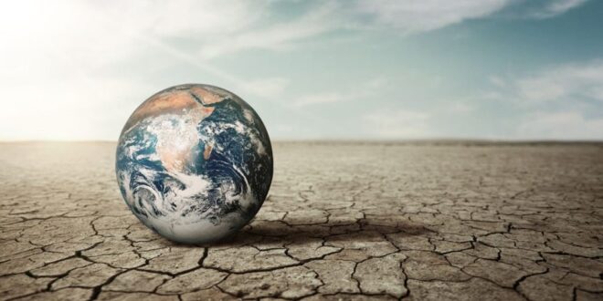 O Brasil na véspera da grande crise global